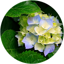 Venki Venkat Venki Venkat